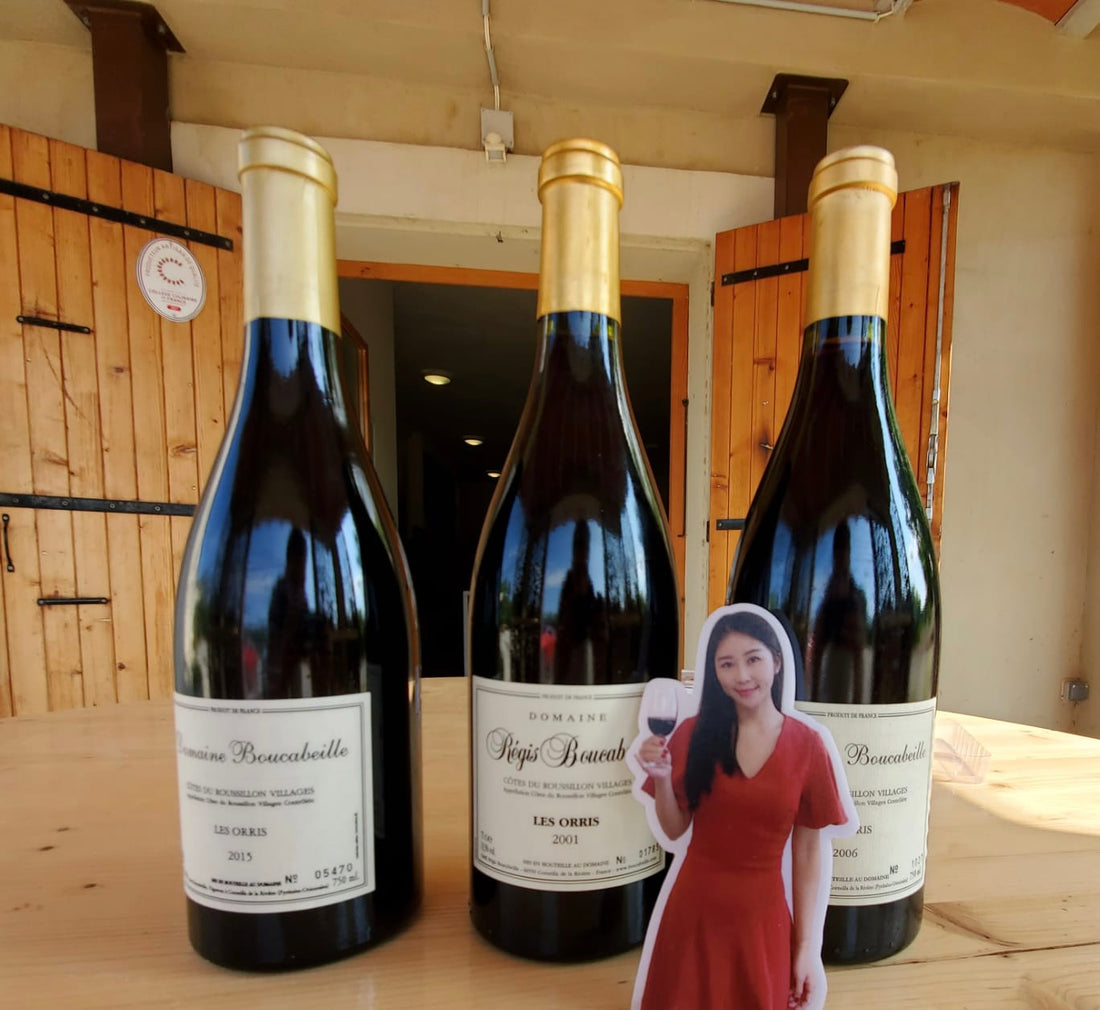 羨慕妒忌恨的紅酒之旅🍷