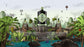 Hendrick's Amazonia Gin